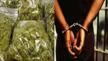 Drugs Seized: തിരുവനന്തപുരം കഴക്കൂട്ടത്ത് എംഡിഎംഎയും കഞ്ചാവും പിടികൂടി; മൂന്ന് പേർ അറസ്റ്റിൽ