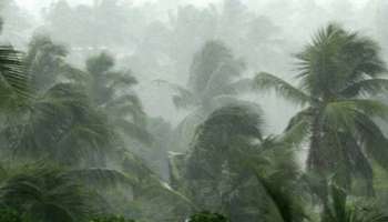 Rain Alert: സംസ്ഥാനത്ത് ശക്തമായ മഴ തുടരുമെന്ന് മുന്നറിയിപ്പ്; നാല് ജില്ലകളിൽ യെല്ലോ അലർട്ട്