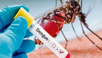 Dengue Fever: ഡെങ്കിപ്പനി പടരുന്നു; പ്രതിരോധ മാർഗങ്ങൾ അറിയേണ്ടത് പ്രധാനം
