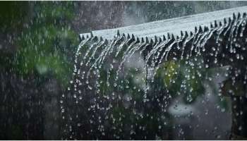 Kerala rain: സംസ്ഥാനത്ത് പെരുമഴക്കാലം; ഇന്ന് 2 ജില്ലകളിൽ റെഡ് അലർട്ട്, നാളെയും മഴ കനക്കും