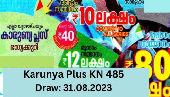 Kerala Lottery Result 2024: കാരുണ്യ പ്ലസ് ഭാ​ഗ്യക്കുറി ഫലം വന്നു; ആർക്കാകും 80 ലക്ഷം?