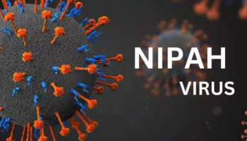 Nipah: നിപ പ്രതിരോധം; മന്ത്രി വീണാ ജോര്‍ജിന്റെ നേതൃത്വത്തില്‍ ഉന്നതതല യോഗം ചേര്‍ന്നു