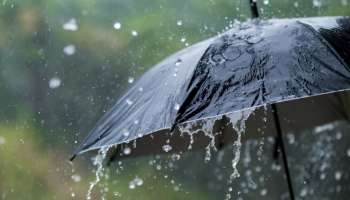 Kerala rain: മഴയുടെ തീവ്രത കുറയുന്നു; വടക്കൻ കേരളത്തിൽ രണ്ട് ദിവസം കൂടി ശക്തമായ മഴ