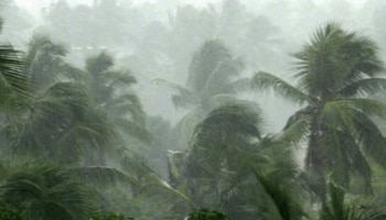 Kerala rain: സംസ്ഥാനത്ത് മഴ കുറയുന്നു; ഇന്ന് 2 ജില്ലകളിൽ യെല്ലോ അലർട്ട്