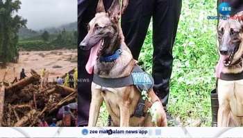 Police dogs to find human body from mud