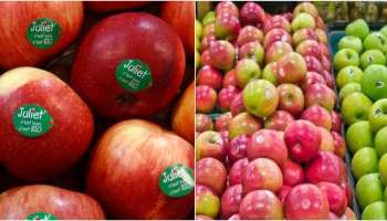 Fruit stickers: പഴങ്ങളിൽ എന്തിനാണ് സ്റ്റിക്കർ? 99% ആളുകൾക്കും ഈ കാരണങ്ങൾ അറിയില്ല!