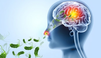 Amoebic Meningoencephalitis: തിരുവനന്തപുരത്തും അമീബിക് മസ്തിഷ്കജ്വരം; മുന്നറിയിപ്പ് നൽകി ആരോ​ഗ്യവകുപ്പ്