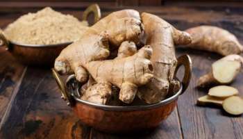 Ginger For Immunity: രോ​ഗപ്രതിരോധശേഷി വർധിപ്പിക്കാം, അണുബാധകളെ തടയാം; ഇഞ്ചി ഇങ്ങനെ കഴിക്കൂ!