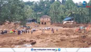 310 hectares of crops were destroyed in Wayanad Mundakkai landslide