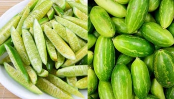 Health benefits of Ivy Gourd: കേമനാണീ കോവയ്ക്ക; അറിയാം കോവയ്ക്കയുടെ ആരോ​ഗ്യ ​ഗുണങ്ങൾ