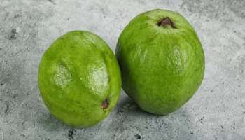 Benefits Of Guavas: പ്രതിരോധശേഷി വർധിപ്പിക്കാൻ മഴക്കാലത്ത് മികച്ചത്.... പേരക്കയുടെ ഗുണങ്ങൾ അറിയാം