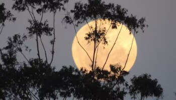 Super Moon Blue Moon: ഡബിൾ ധമാക്ക; ചാന്ദ്ര വിസമയം തീർക്കാൻ സൂപ്പര്‍ മൂണ്‍ ബ്ലൂ മൂണ്‍ സം​ഗമം