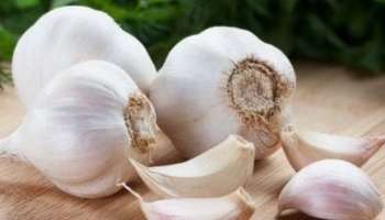 Garlic health benefits: വെളുത്തുള്ളി കഴിച്ചാൽ നിരവധിയാണ് ​ഗുണങ്ങൾ; എപ്പോൾ കഴിക്കണമെന്നറിയാം