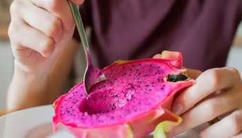 Dragon Fruit: കുഞ്ഞുങ്ങൾക്ക് ഡ്രാ​ഗൺ ഫ്രൂട്ട് നൽകാമോ? ഇക്കാര്യങ്ങൾ അറിയൂ