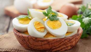 Egg: ദിവസവും അമിതമായി മുട്ട കഴിക്കാറുണ്ടോ? എങ്കിൽ ഈ അവയവങ്ങൾക്ക് പണി കിട്ടും!