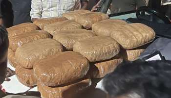 Drugs Seized: കൊടുവള്ളിയിൽ വൻ ലഹരിവേട്ട; 53 കിലോ കഞ്ചാവുമായി ഒരാൾ പിടിയിൽ