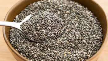 Chia Seeds: മുടി വളരാൻ ചിയ വിത്ത് നല്ലതോ? അറിയാം