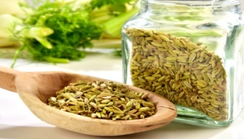 Fennel Seeds: ആഹാരത്തിന് ശേഷം ഒരു നുള്ള് പെരുംജീരകം കഴിച്ച്നോക്കൂ.. ​പലതുണ്ട് കാര്യം!