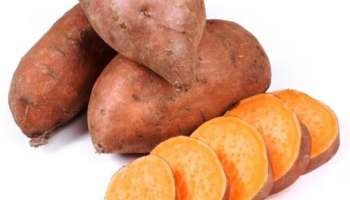 Sweet Potatoes Health Benefits: രുചികരം പോഷകസമ്പുഷ്ടം! അറിയാം മധുരക്കിഴങ്ങിന്റെ ​ഗുണങ്ങൾ