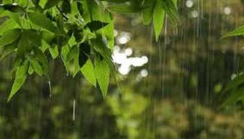 Kerala Rain Alert: സംസ്ഥാനത്ത് ഇന്നും ശക്തമായ മഴയ്ക്ക് ശമനം; 3 ദിവസത്തേക്ക് പ്രത്യേക മുന്നറിയിപ്പില്ല!