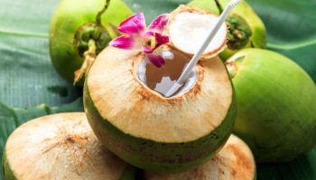 Coconut Water: പതിവായി കരിക്കിൻ വെള്ളം കുടിക്കൂ...ഈ ഗുണങ്ങൾ നിങ്ങളെ അത്ഭുതപ്പെടുത്തും!