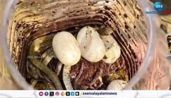 Snake Catcher Abdul kalam