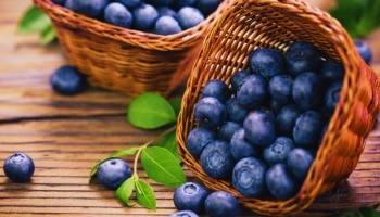 Health Benefits Of Blueberries: പ്രമേഹത്തെ മാറ്റി നിർത്താം, ചർമ്മത്തെ സുന്ദരമാക്കാം; ബ്ലൂബെറി കഴിക്കണമെന്ന് പറയുന്നത് വെറുതേയല്ല!