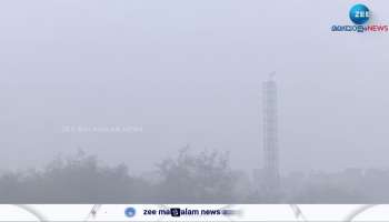 North India shivers in thick fog; Yellow alert in Delhi