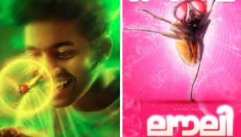 Lovely: മാത്യുവിന്റെ നായികയായി &#039;ഈച്ച&#039;; &#039;ലൗലി&#039; തിയേറ്ററുകളിലേക്ക്, റിലീസ് പ്രഖ്യാപിച്ചു