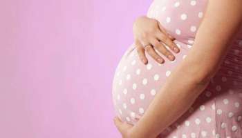 Foods to Avoid during Pregnancy: ഗർഭിണിയാണോ? ഈ ഭക്ഷണങ്ങൾ കഴിക്കരുതേ!