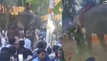 Kunnamkulam Pooram: കുന്നംകുളം പൂരത്തിനിടെ രണ്ടുതവണ ആന ഇടഞ്ഞു; 63കാരി ഉൾപ്പെടെ 5 പേർക്ക് പരിക്ക്