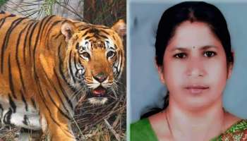 Wayanad Tiger Attack: കടുവയെ തിരയാൻ തെർമൽ ഡ്രോണും കുങ്കിയാനകളും; മാനന്തവാടിയിൽ യുഡിഎഫ്, എസ്‌ഡിപിഐ ഹർത്താൽ തുടങ്ങി