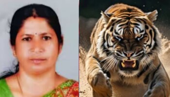 Mananthavady Tiger Attack: &#039;ജീവന് വിലയില്ലെങ്കിൽ പിന്നെ പ്രഖ്യാപനങ്ങളെന്തിന്?&#039; വനംവകുപ്പിനെതിരെ രൂക്ഷ വിമർശനം, പ്രതിഷേധം കടുപ്പിച്ച് നാട്ടുകാർ