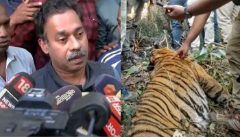 Mananthavady Tiger Attack: &#039;വെടിവെച്ചിട്ടില്ല&#039;, മറ്റൊരു കടുവയുമായി ഏറ്റുമുട്ടി? പോസ്റ്റ്മോ‍ർട്ടം ഉടൻ