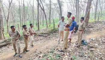 Wild Animal Attack: കൊല്ലം പത്തനാപുരത്ത് വന്യമൃഗത്തിൻ്റെ ആക്രമണം; പശു ചത്തു, പുലിയെന്ന് കർഷകൻ