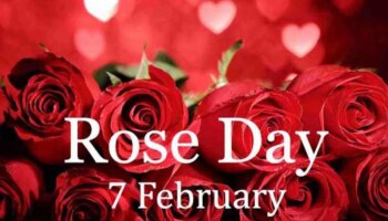 Happy Rose Day 2025: &#039;നിന്നോടുള്ള എന്റെ പ്രണയം ഈ റോസാപ്പൂ പോലെ മനോഹരമാണ്&#039;; ഈ റോസ് ഡേയിൽ പ്രിയപ്പെട്ടവർക്ക് ആശംസകൾ നേരാം....