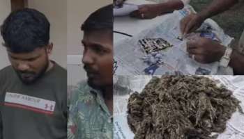 Drugs Seized: അതിമാരക മയക്കുമരുന്ന് ​ഗുളികകളും കഞ്ചാവും പിടികൂടി; എത്തിച്ചത് അസമിൽ നിന്ന്, രണ്ട് പേർ പിടിയിൽ