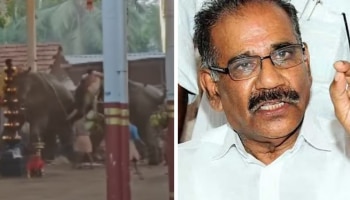 Koyilandy Elephants Runs Amok: എഴുന്നള്ളപ്പിൽ ചട്ടലംഘനമെന്ന് റിപ്പോർട്ട്; കേസെടുക്കാൻ വനംമന്ത്രിയുടെ നിർദ്ദേശം, സ്വമേധയാ ഇടപെട്ട് ഹൈക്കോടതി