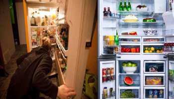Kitchen Tips: ഫ്രിഡ്ജിൽ ഭക്ഷണസാധനങ്ങൾ സൂക്ഷിക്കാറുണ്ടോ? ഇക്കാര്യങ്ങൾ പ്രത്യേകം ശ്രദ്ധിക്കണേ!