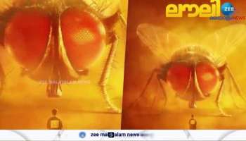 Lovely Movie teaser