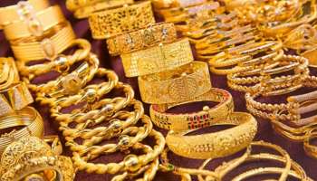 Gold rate in Kerala: എന്റെ സ്വർണ്ണമേ! ഇതെങ്ങോട്ടാ പോക്ക്! റെക്കോർഡ് തീർത്ത് സ്വർണ്ണവില