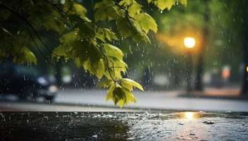 Kerala Rain Alert: സംസ്ഥാനത്ത് ഇന്നും ഇടിമിന്നലോടു കൂടിയ മഴയ്ക്ക് സാധ്യത; 3 ജില്ലകളിൽ യെല്ലോ അലർട്ട്