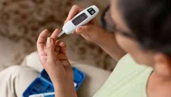 Health Tips: പ്രമേഹമുണ്ടോ? ഈ പഴങ്ങൾ ധൈര്യമായി കഴിച്ചോളൂ