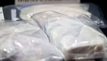 Delhi Drug Bust: ഡൽഹിയിൽ വൻ മയക്കുമരുന്ന് വേട്ട; പിടികൂടിയത് 27.4 കോടിയുടെ മെത്താഫിറ്റമിനും കൊക്കെയ്‌നും MDMAയും