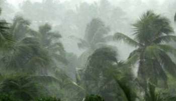 Kerala Weather Update: സംസ്ഥാനത്ത് പരക്കെ മഴയ്ക്ക് സാധ്യതയെന്ന് മുന്നറിയിപ്പ്; നാല് ജില്ലകളിൽ യെല്ലോ അലർട്ട്