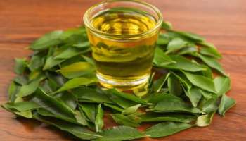 Hair Growth Oil: ഇടതൂർന്ന മുടിയാണോ സ്വപ്നം? മുടി വളരാൻ ഇങ്ങനെ വെളിച്ചെണ്ണ കാച്ചണം