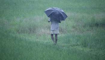 Kerala Rain Alert: ഇടിമിന്നലോടു കൂടിയ വേനൽ മഴക്ക് സാധ്യത; സംസ്ഥാനത്ത് മൂന്ന് ജില്ലകളിൽ യെല്ലോ അലർട്ട്