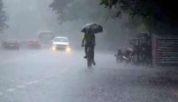 Kerala Weather Update: വേനൽ മഴ; ഇന്നും നാളെയും കേരളത്തിലെ രണ്ട് ജില്ലകളിൽ യെല്ലോ അല‌ർട്ട് 
