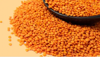 Superfoods : വെജിറ്റേറിയന്‍ ഇഷ്ടപ്പെടുന്നവരാണോ നിങ്ങള്‍? എങ്കില്‍ പ്രോട്ടീനിനെ കുറിച്ച് ഭയക്കണ്ട, മുട്ടയേക്കാള്‍ മെച്ചം ഇവ...