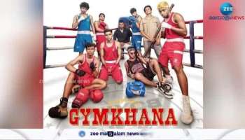 Alappuzha Gymkhana Box Office Collection